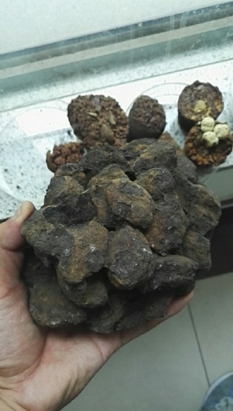 微信图片_20190228135440