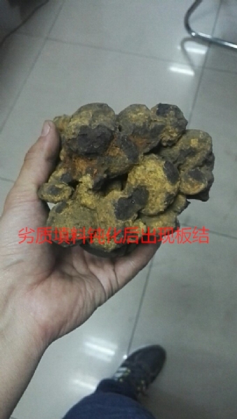 微信图片_20190228135536_看图王